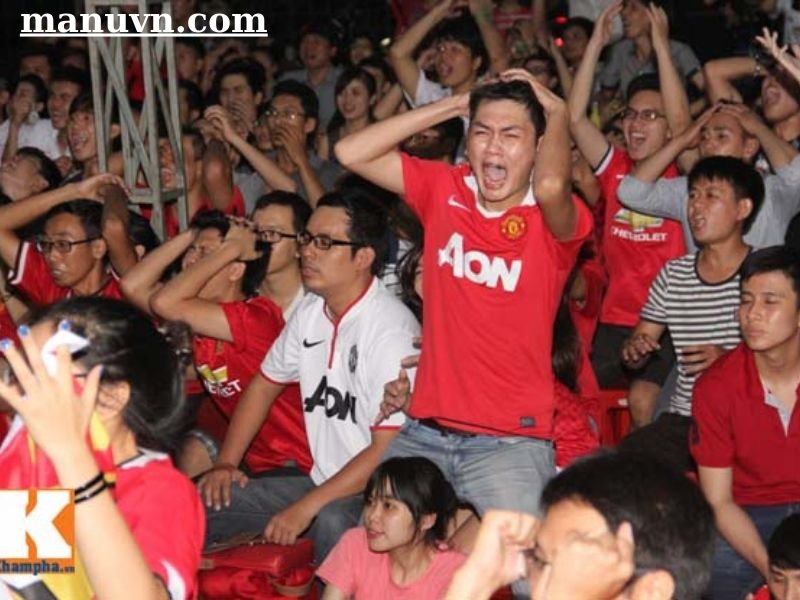 fan manchester united